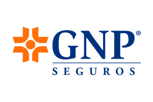socio_gnp